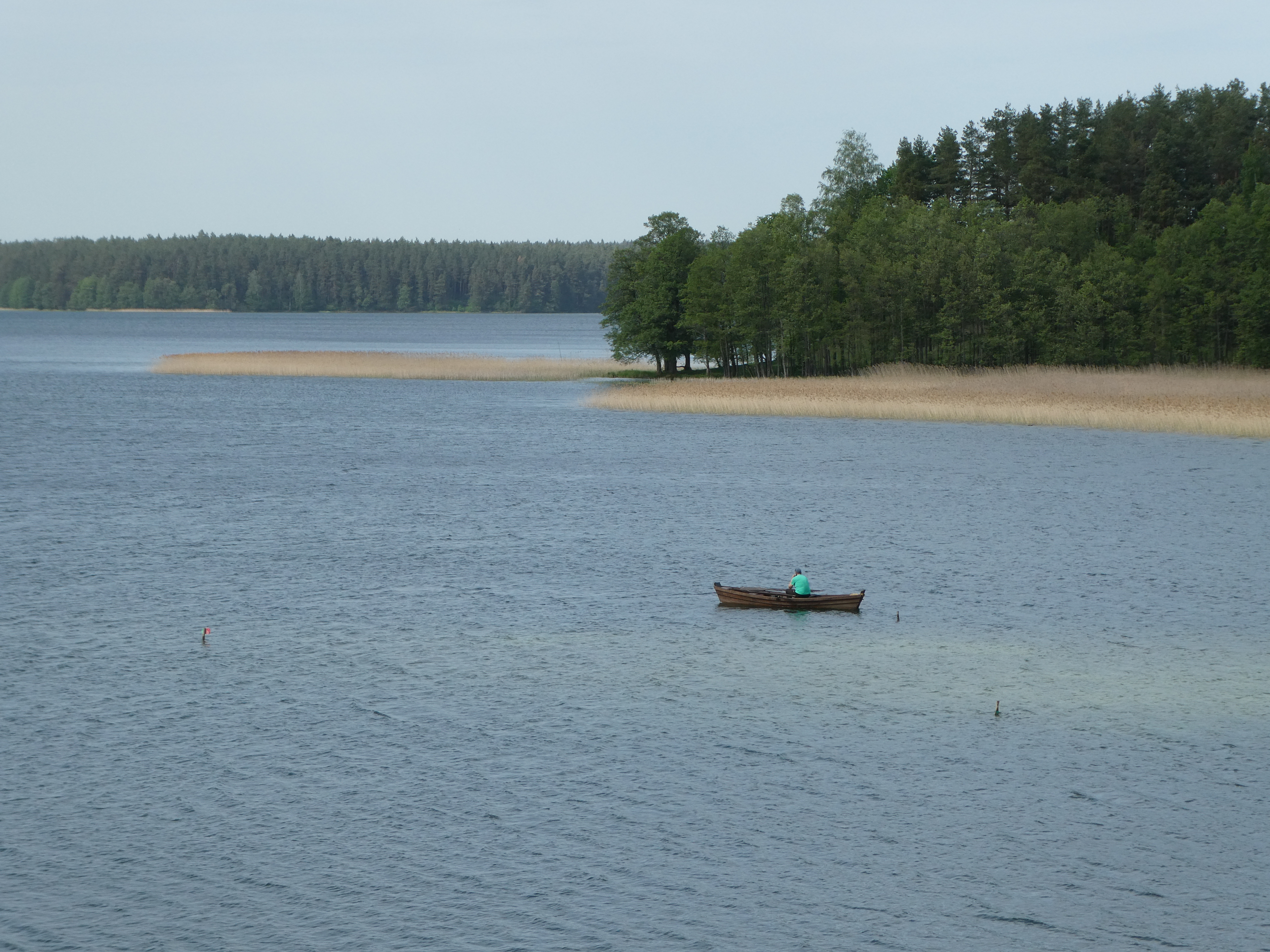 Jezioro Wigry, south of Suwalki
